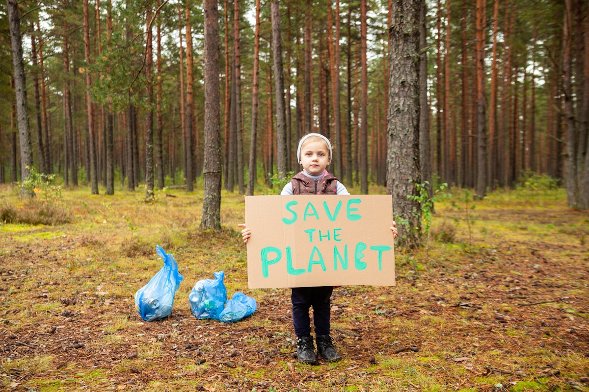 The Environmental Impact: Ultimate Guide 2024 – Expert Tips