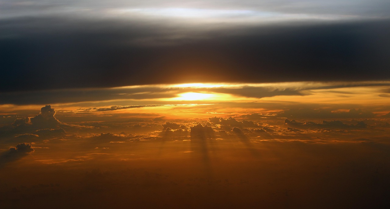 How to Choose the Best Features for Your Concrete Grinder