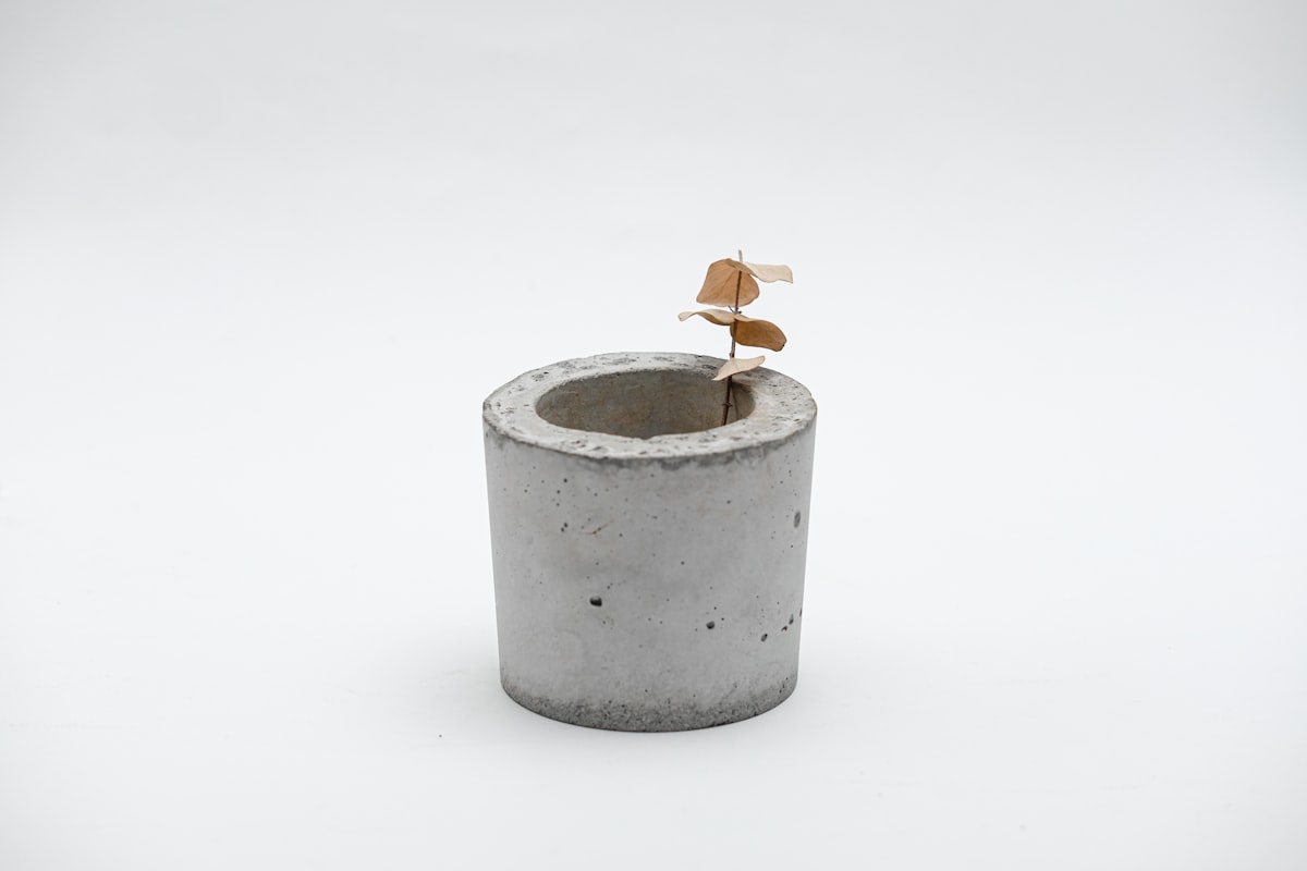 Understanding Concrete Grinder: Ultimate Guide 2024 - Expert Tips